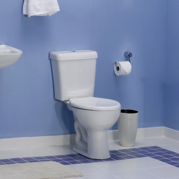 15350923544 vaso sanitario caixa acoplada izy deca.png