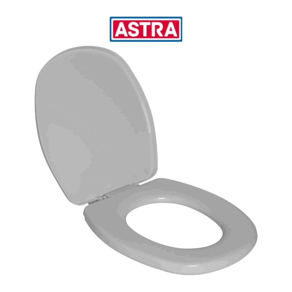 15377095452 assento sanitario almofadado aspen branco gelo astra.png